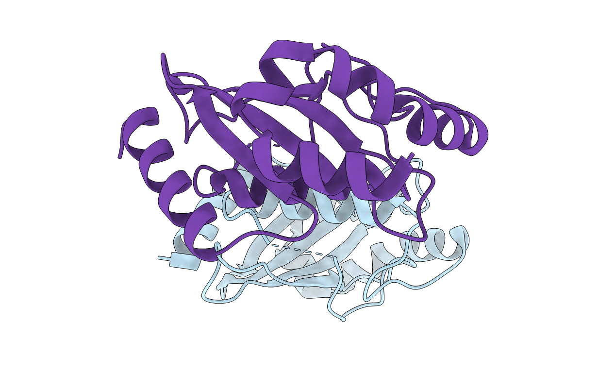 2F4W image