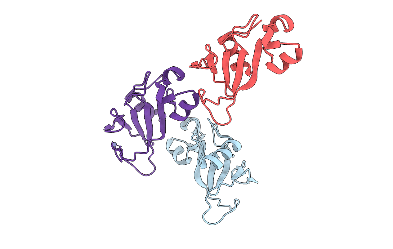 2F4Y image
