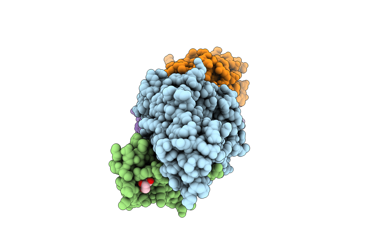 2F53 image