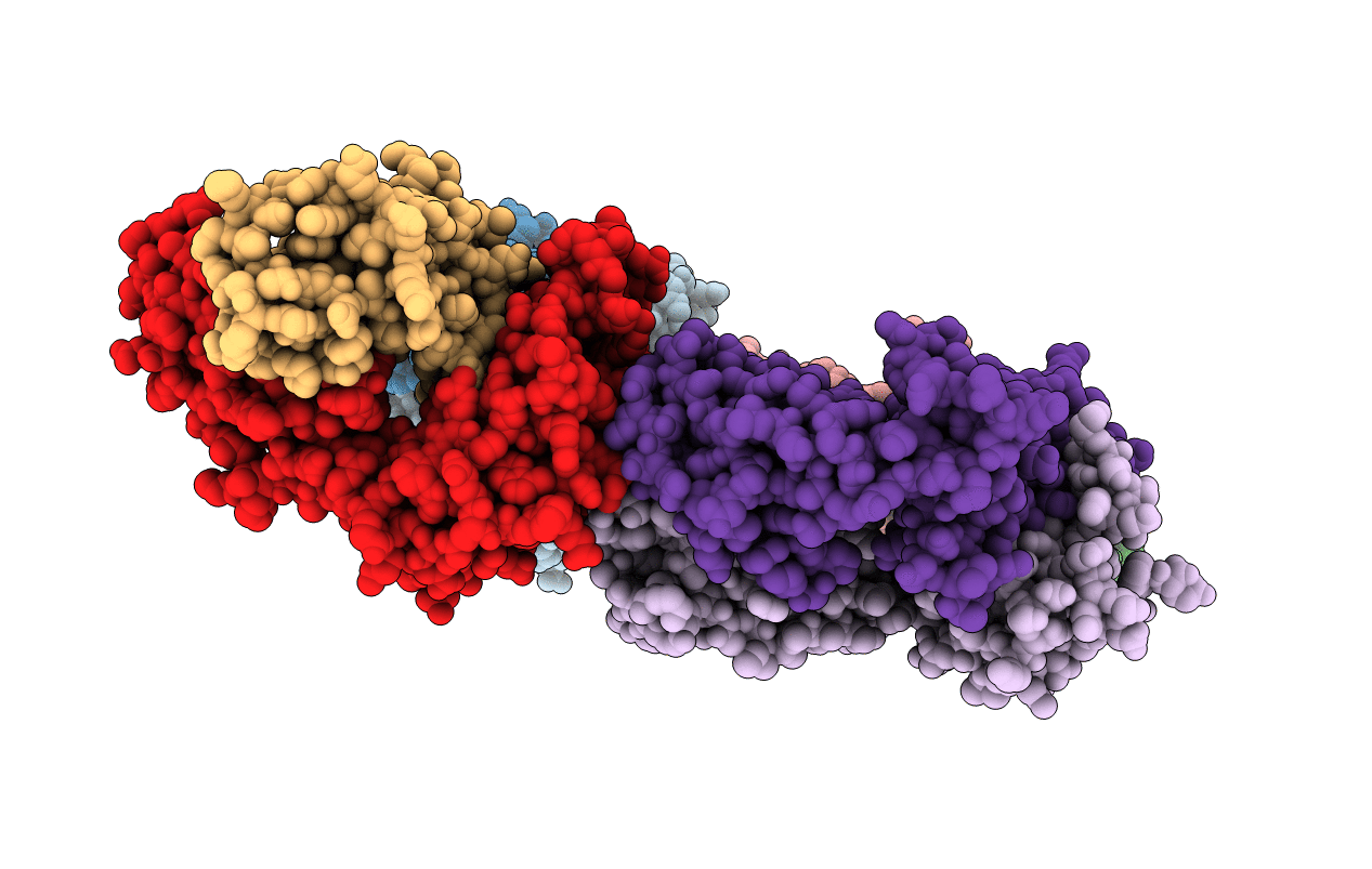 2F54 image