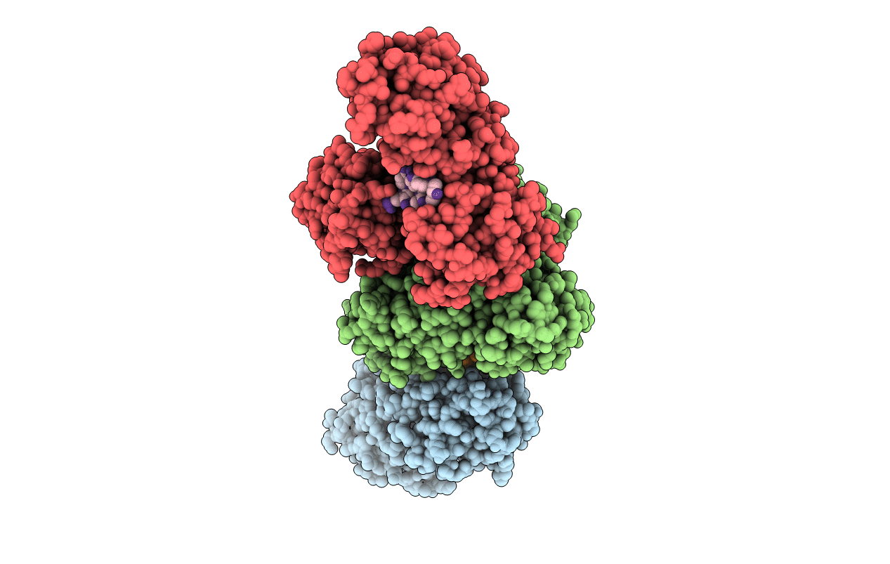 2F55 image