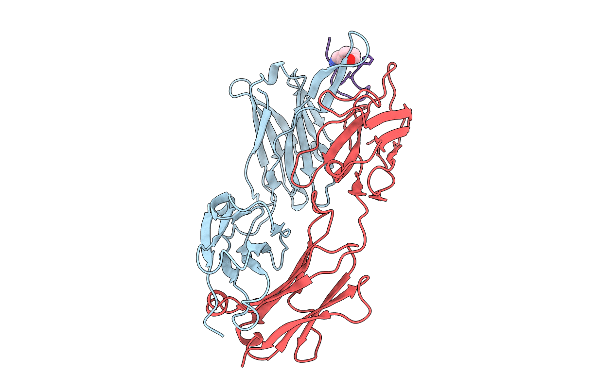2F58 image