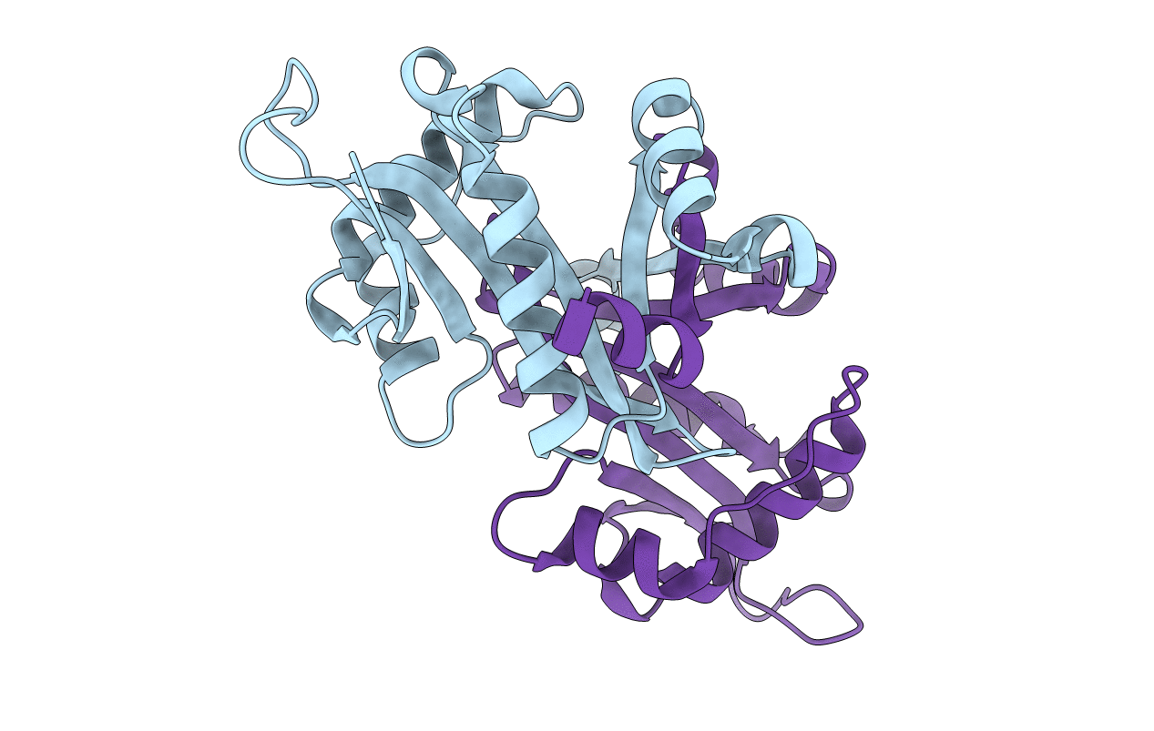 2F5I image