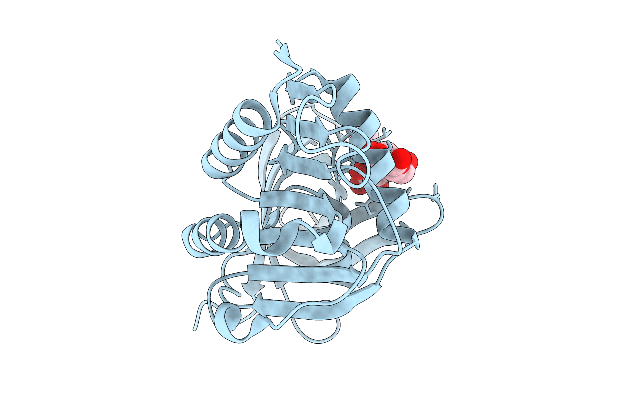 2F5T image