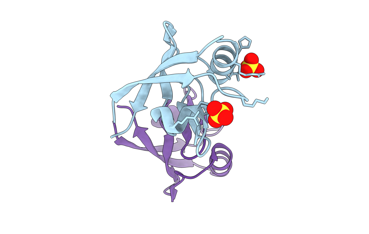 2F5Y image