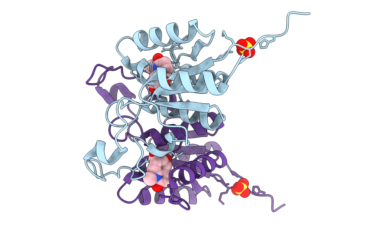 2F64 image
