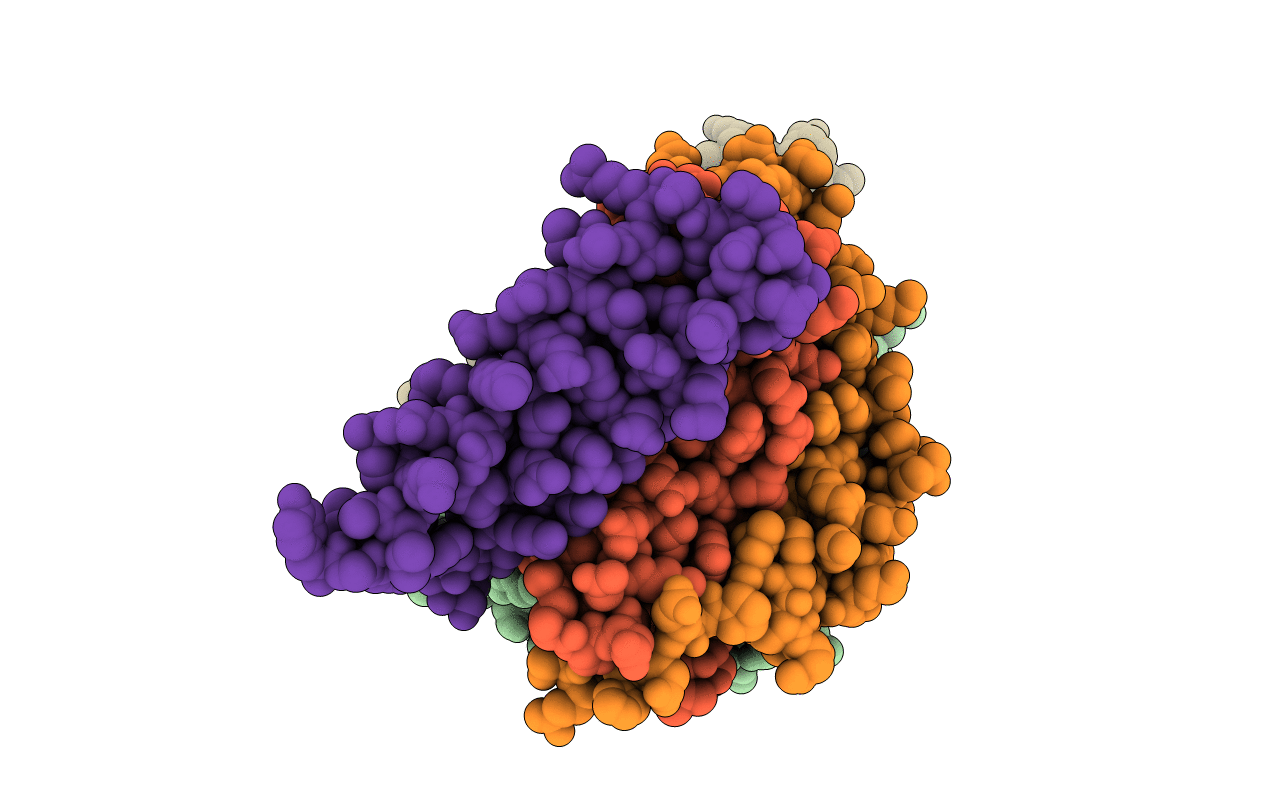 2F66 image