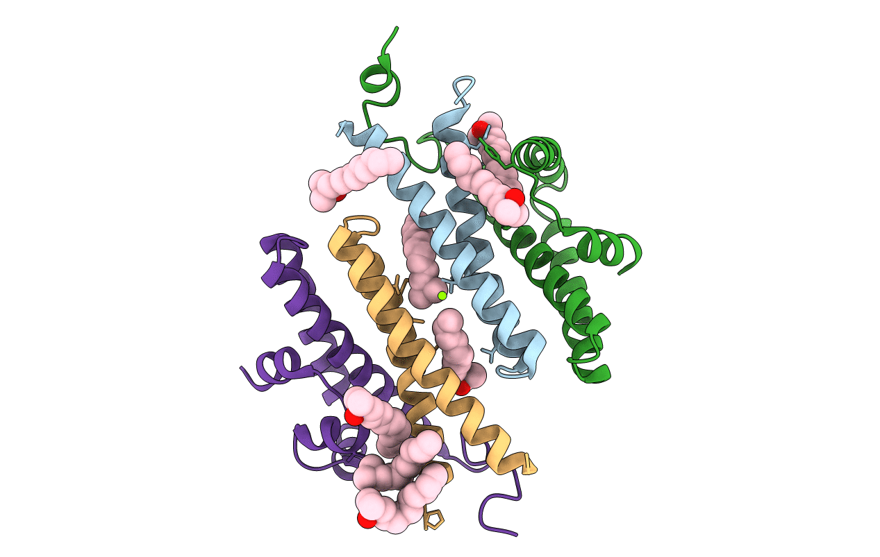 2F6M image