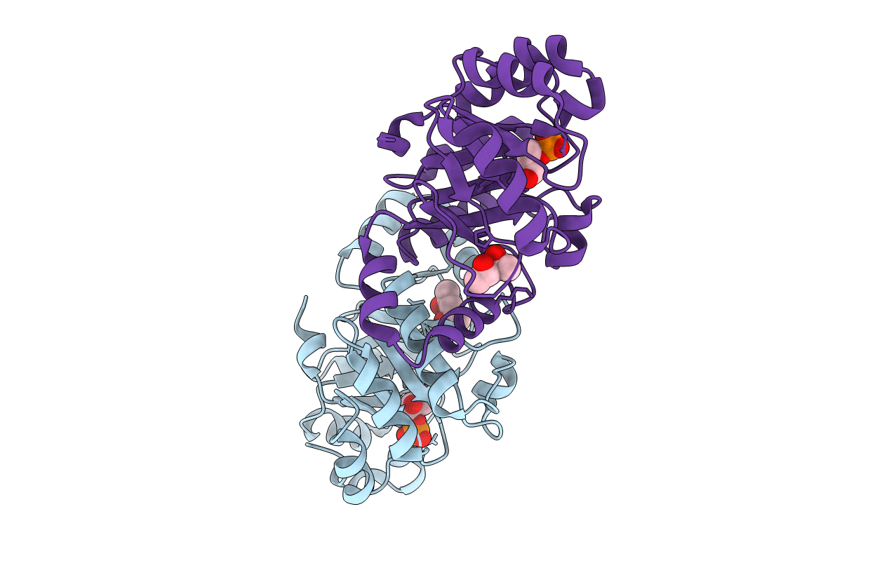 2f6x image
