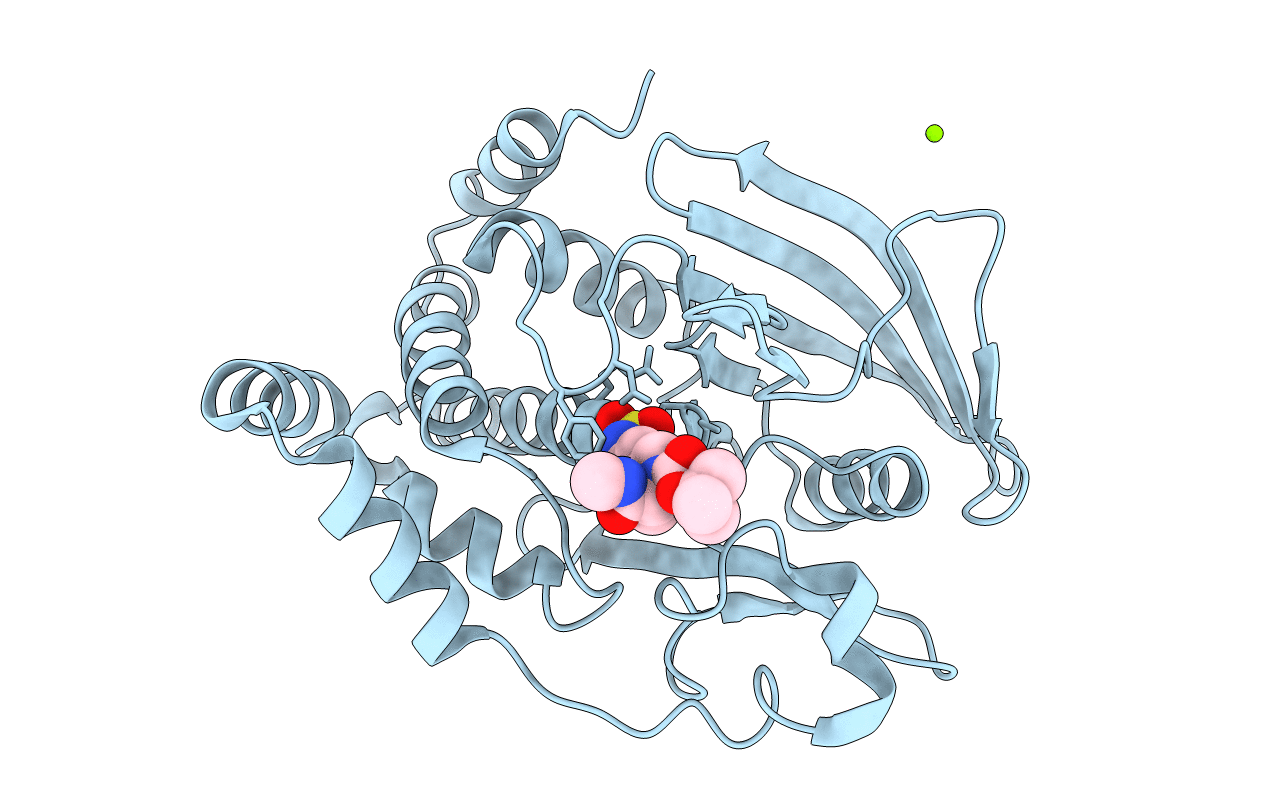 2F6Y image