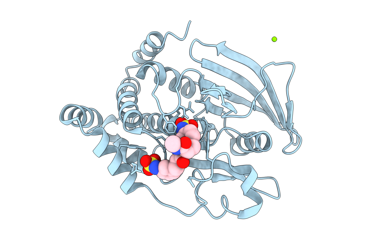 2F6Z image