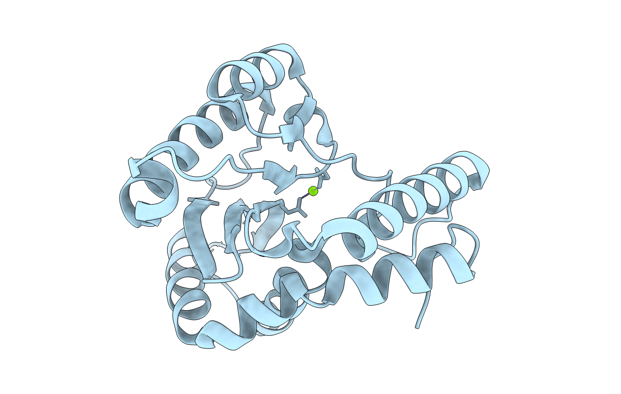 2F7T image