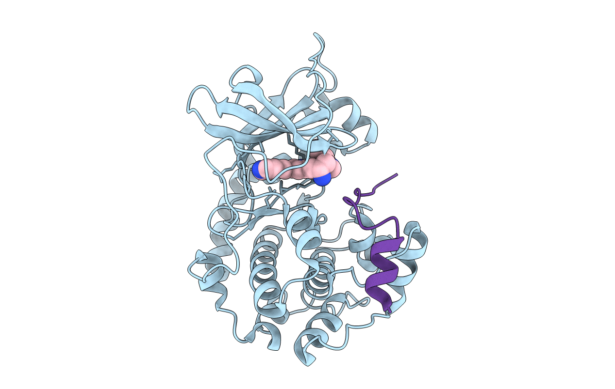 2F7X image