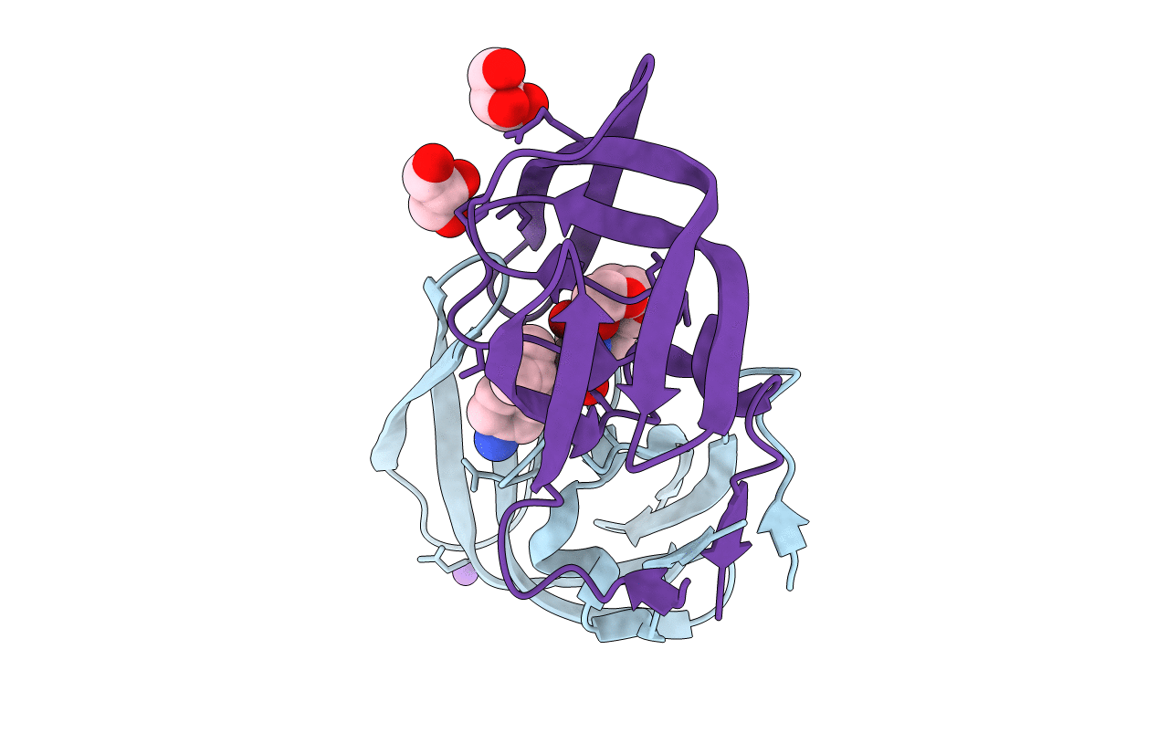 2F81 image