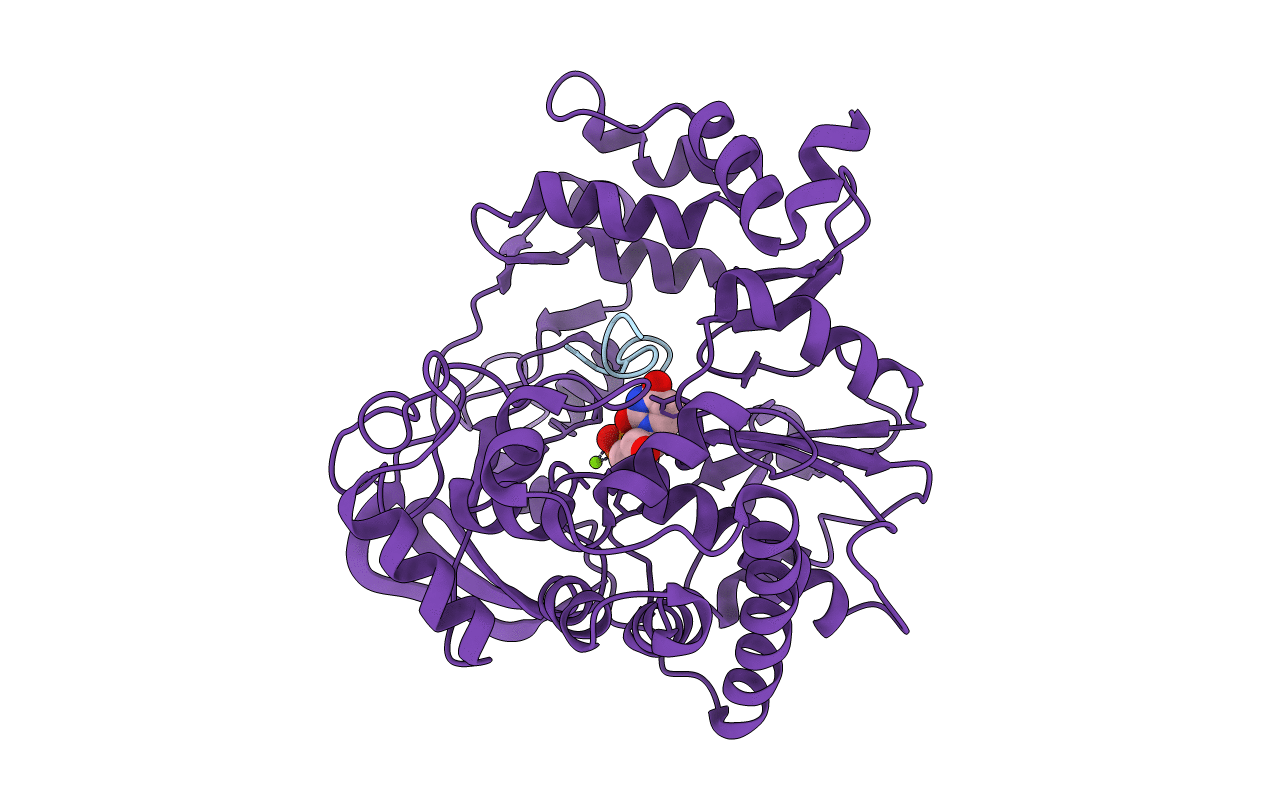 2F8E image