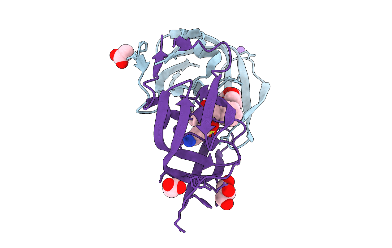 2F8G image