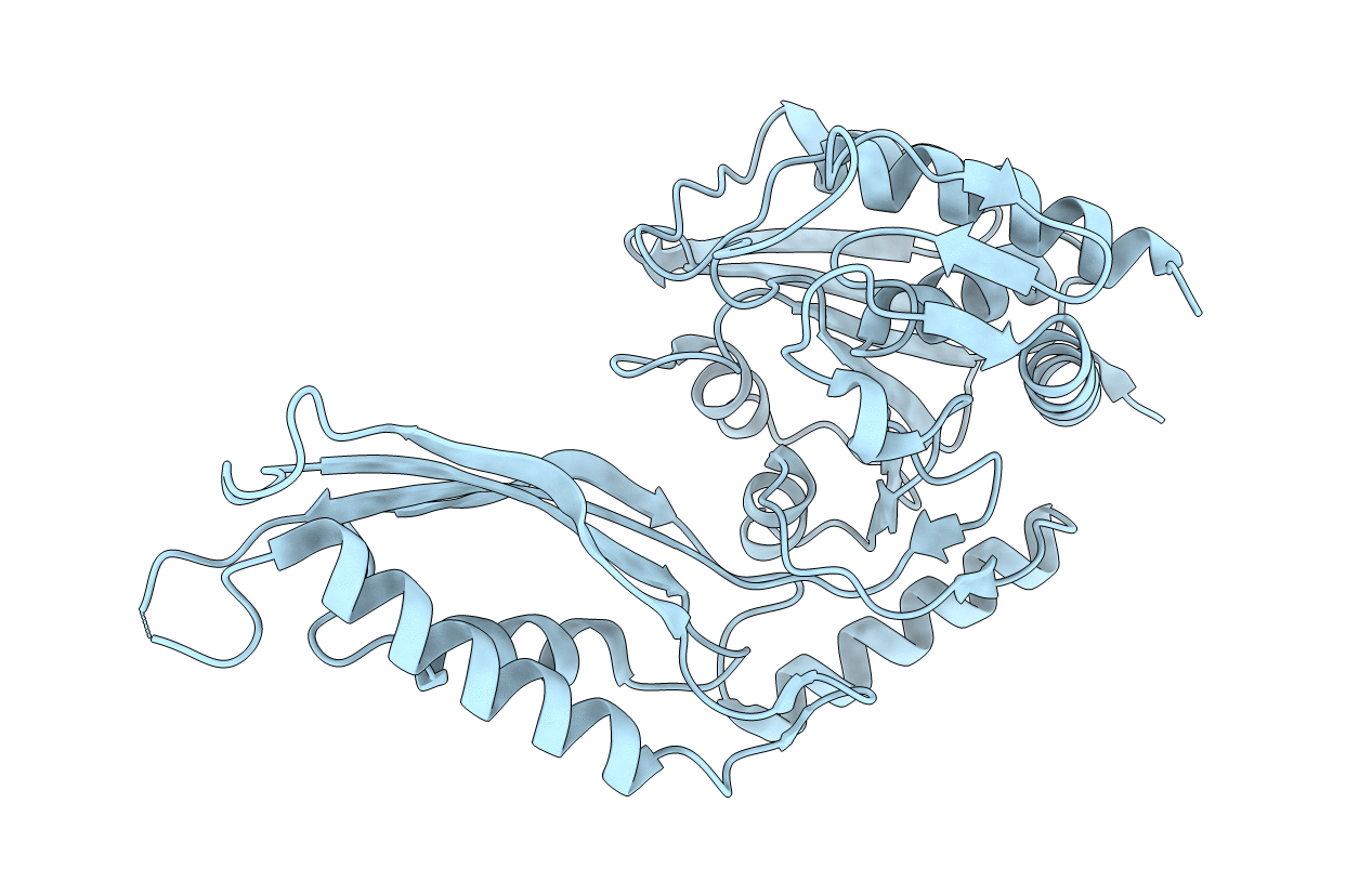 2F8H image