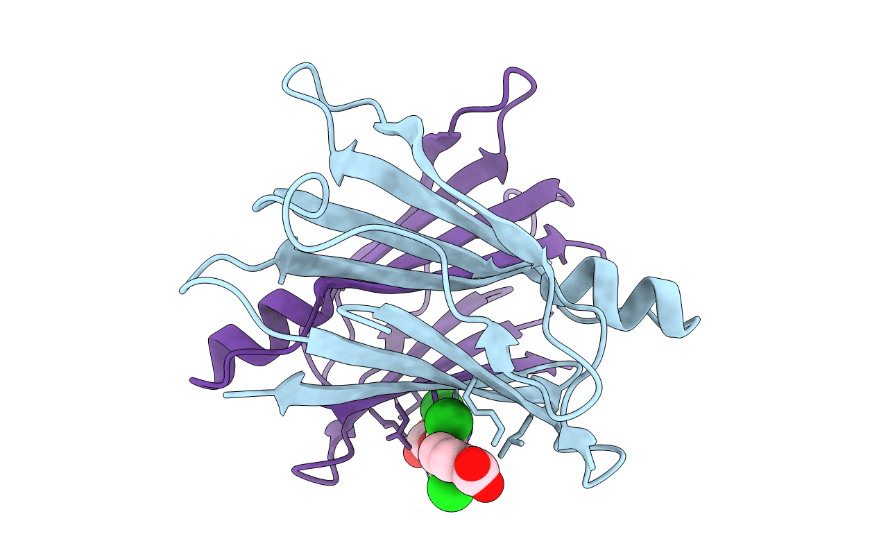 2F8I image