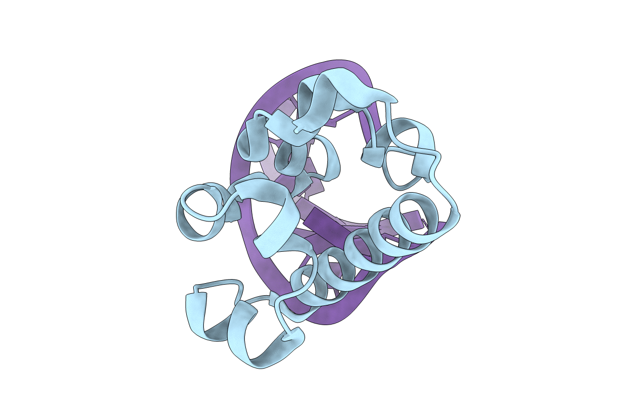 2F8K image