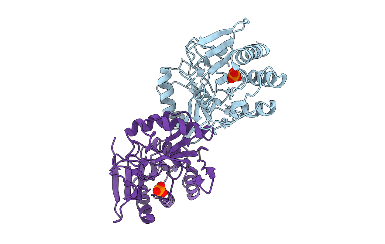 2F8M image