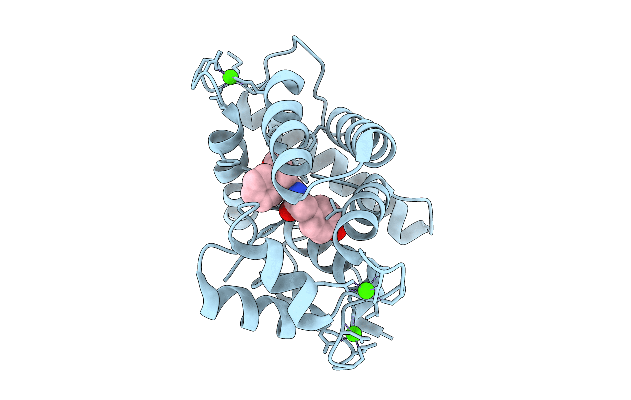 2F8P image
