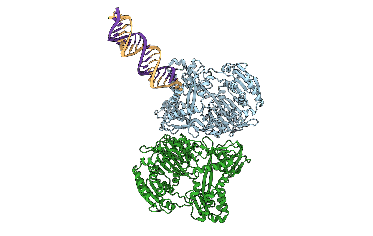 2F8T image