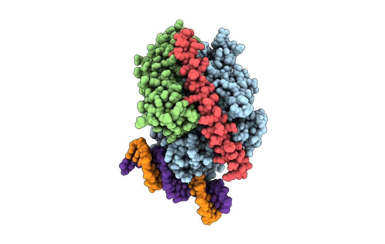 2F8X image