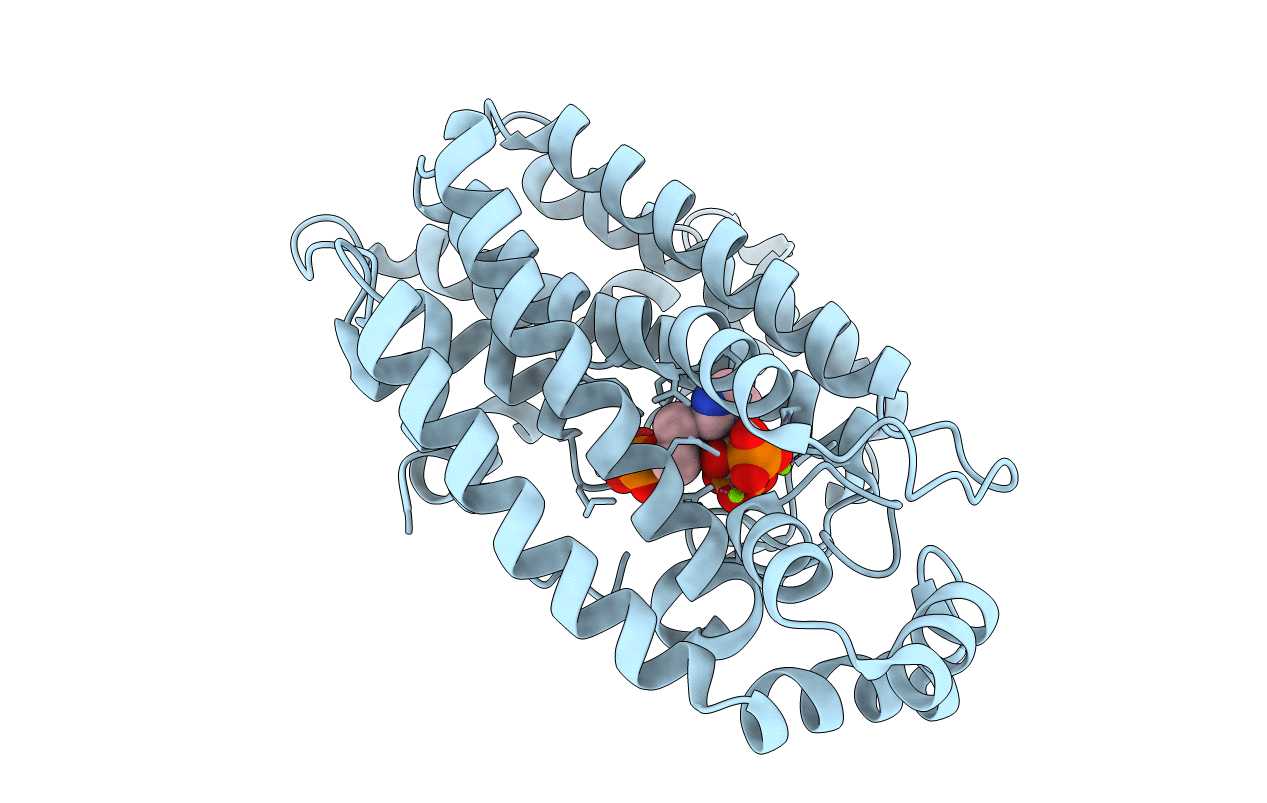 2F8Z image