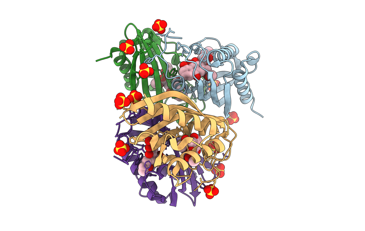 2F99 image