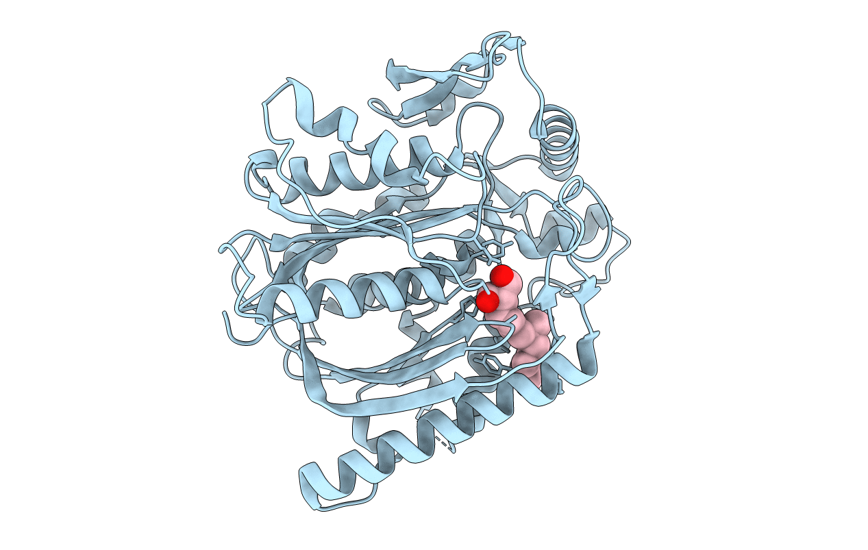 2F9A image