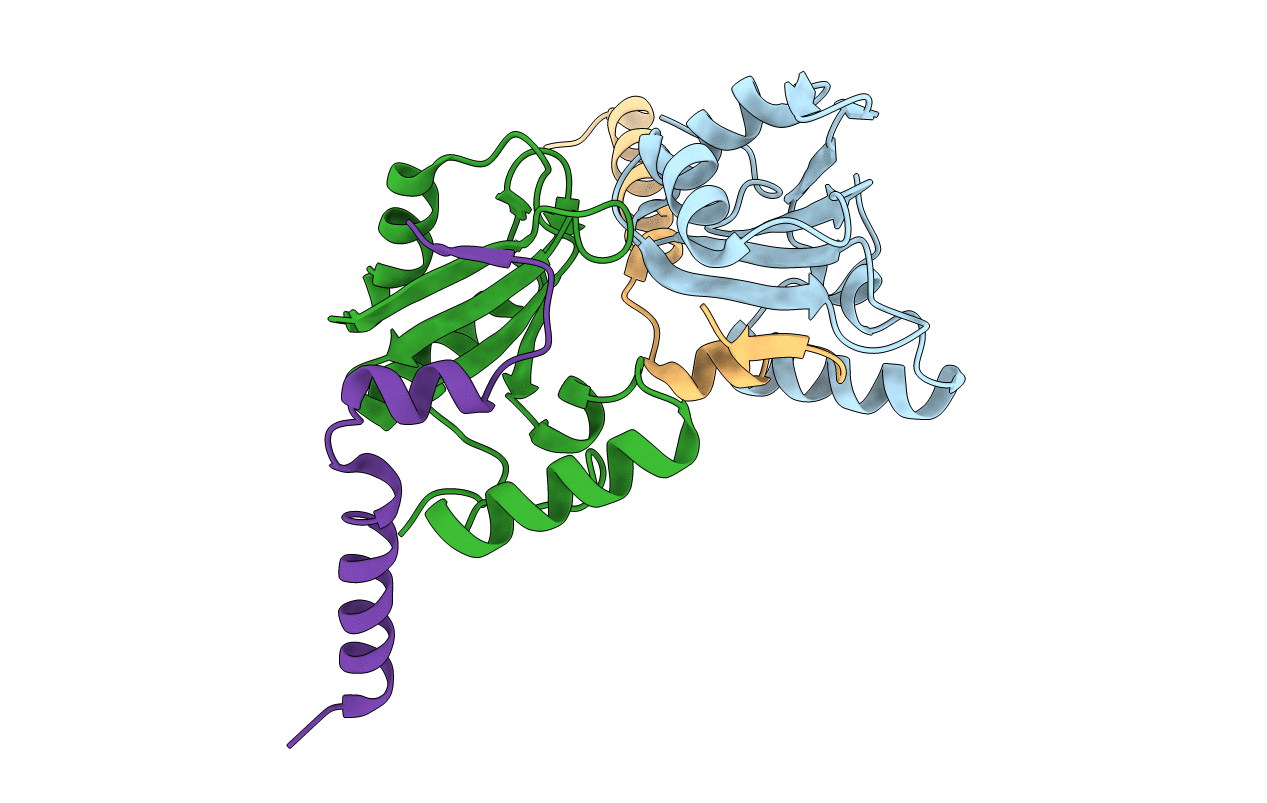 2F9D image