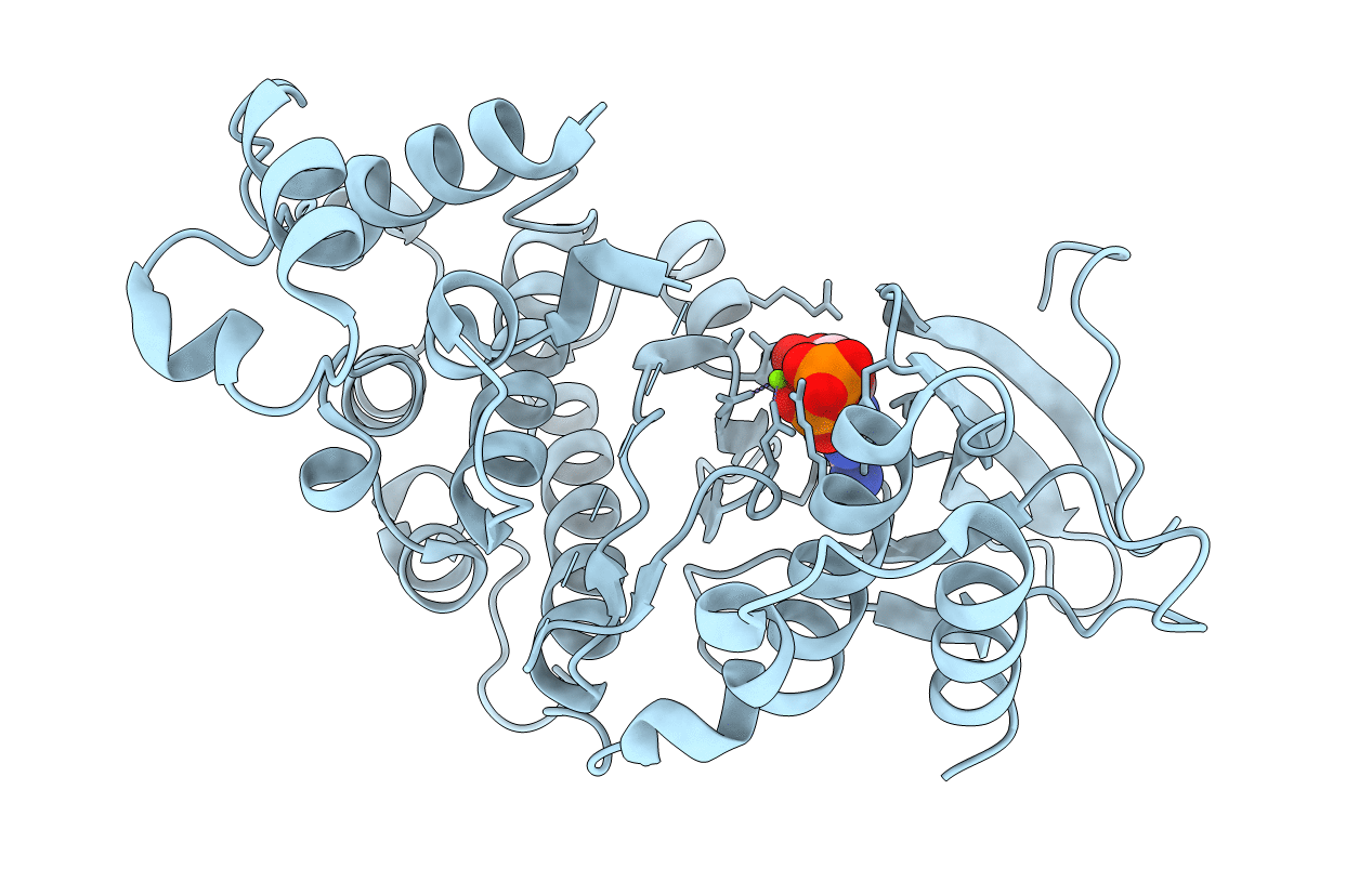 2F9G image