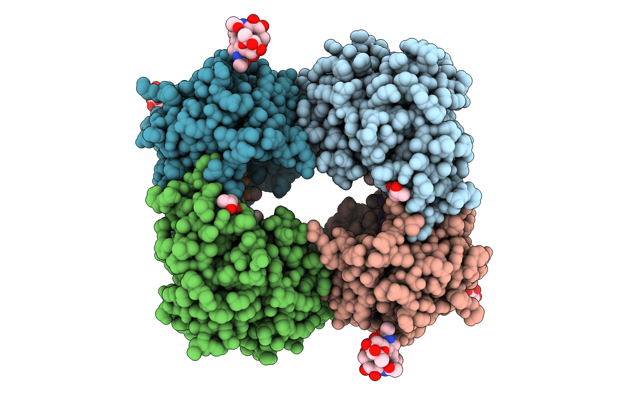 2F9N image