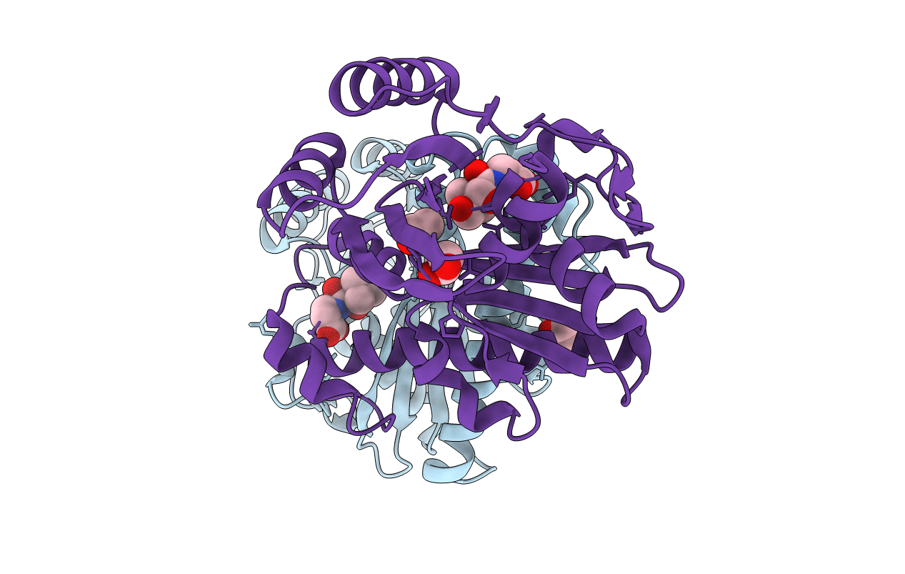 2F9W image
