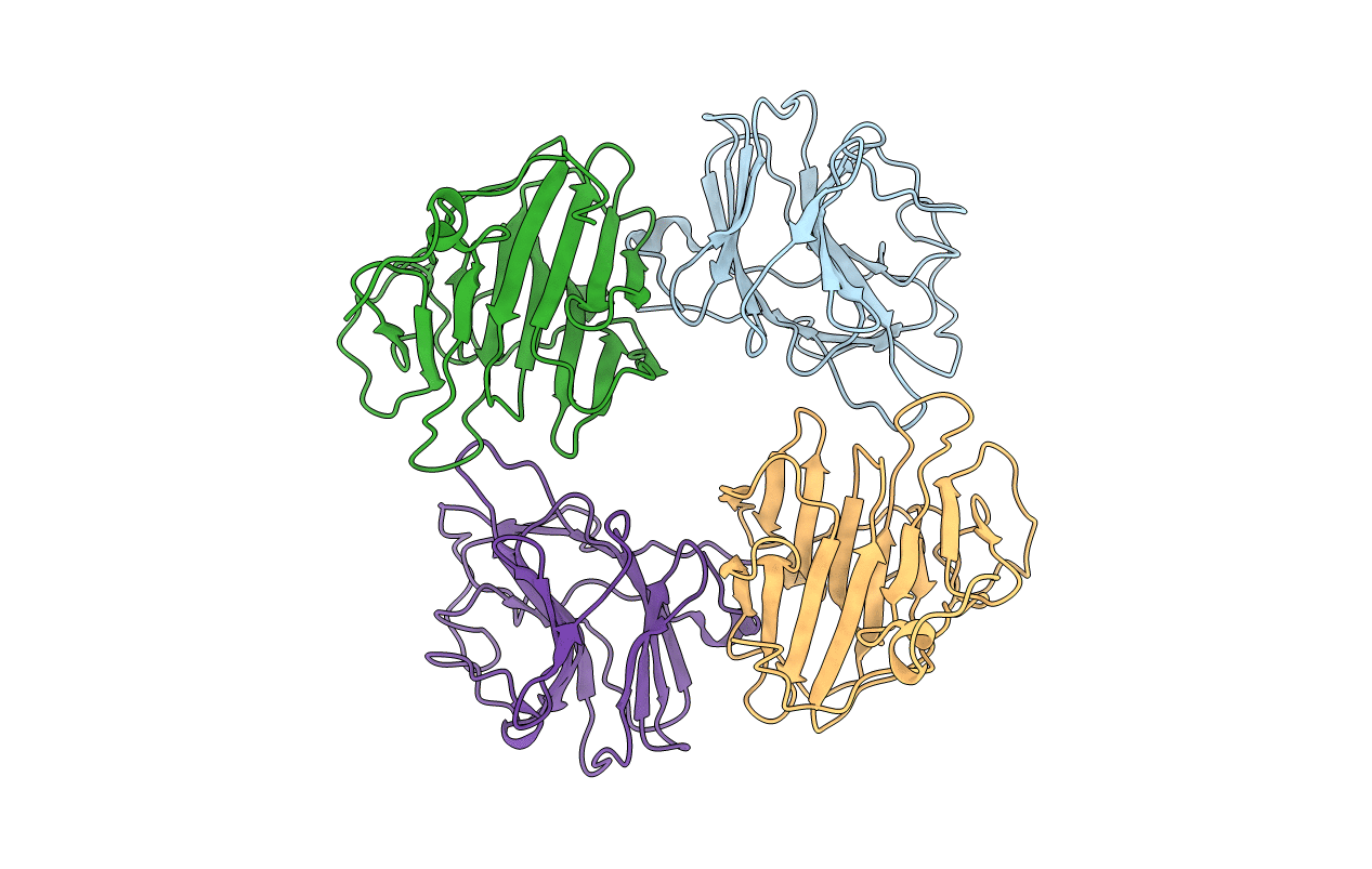 2FBE image