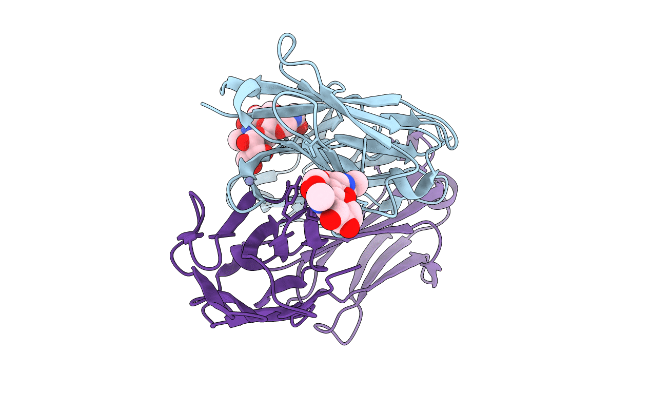 2fbj image