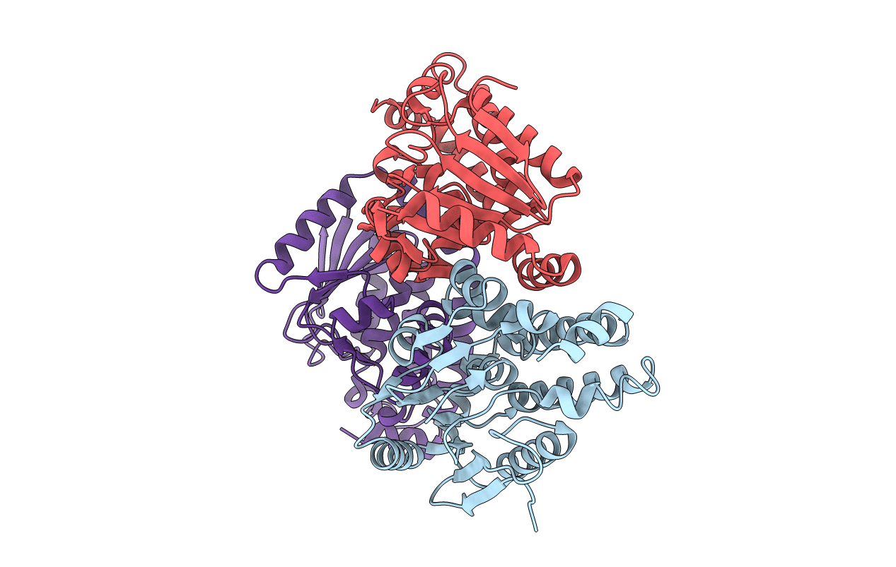 2FBM image