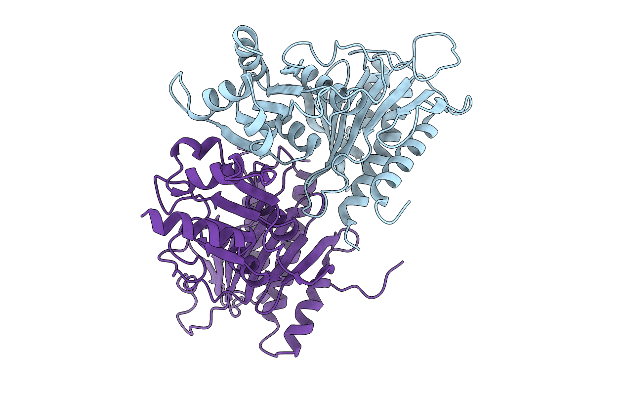 2FBP image