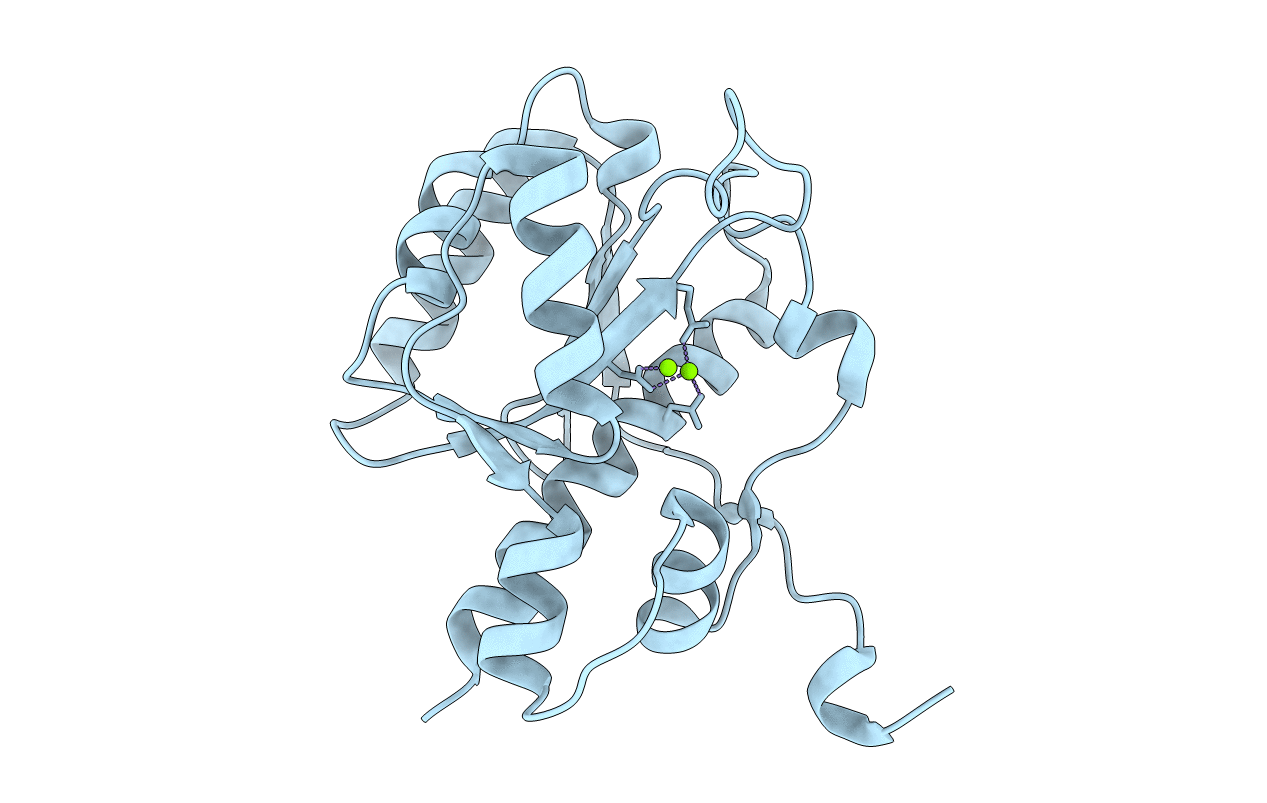 2FBX image