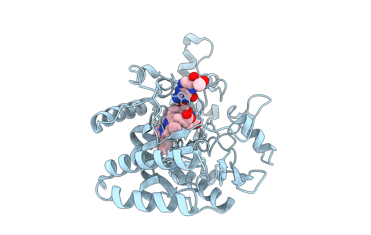 2FC1 image