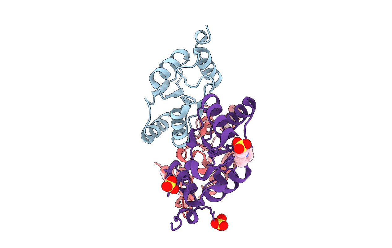 2FCJ image