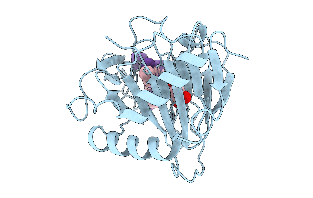 2FDG image