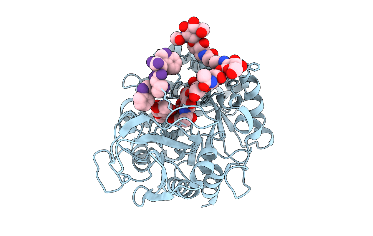 2FDM image