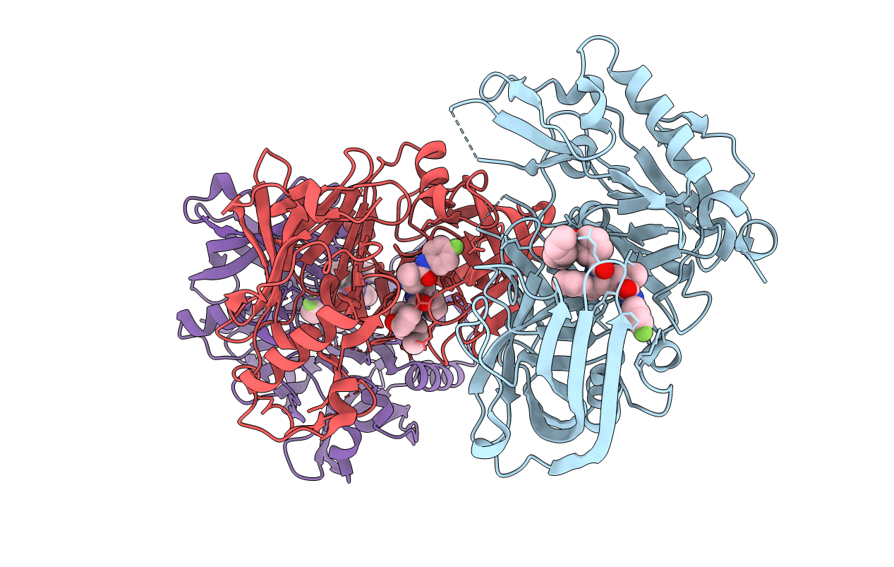 2FDP image
