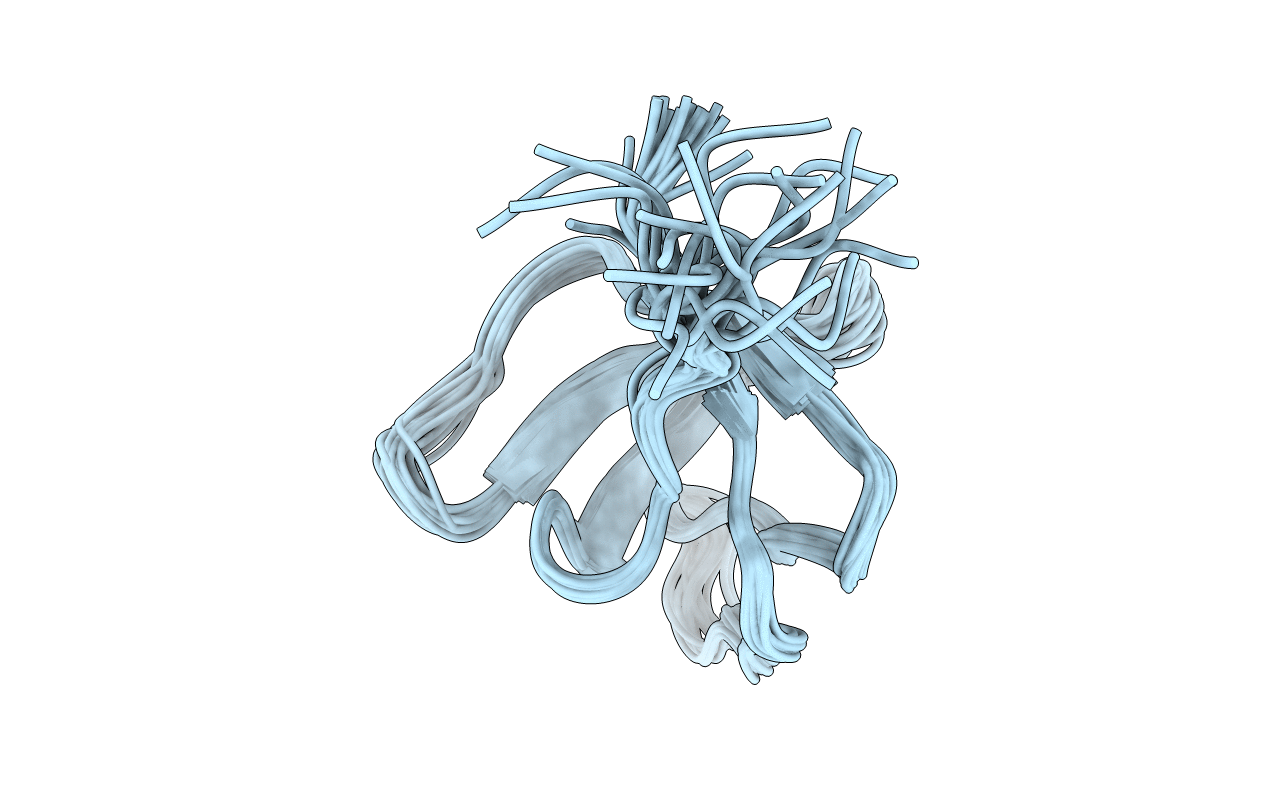 2FEI image