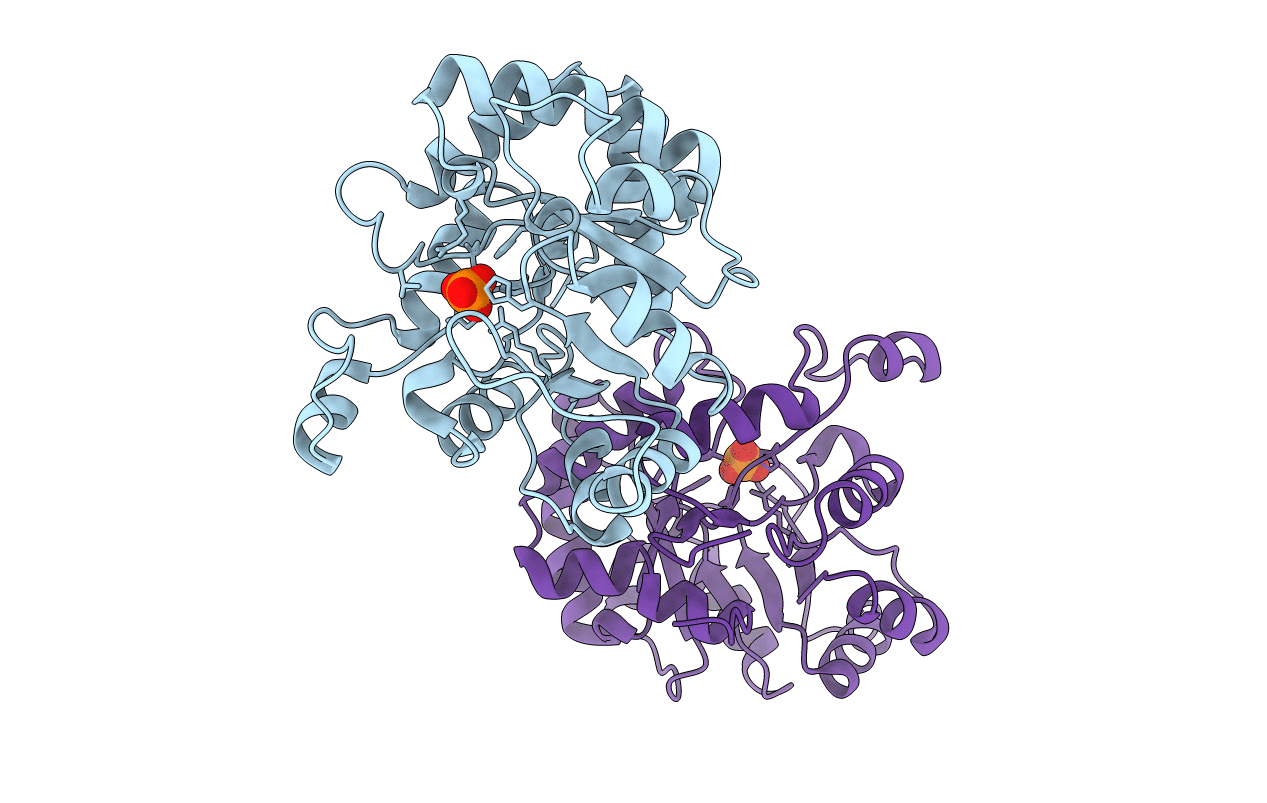 2FFI image