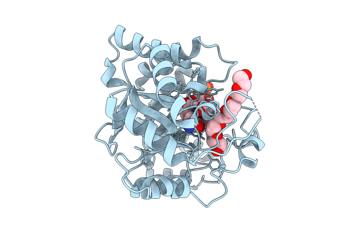 2FGB image