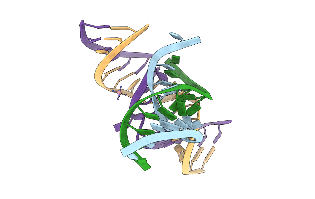 2FGP image