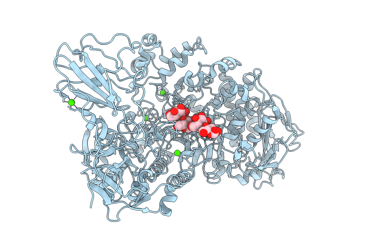 2FHB image