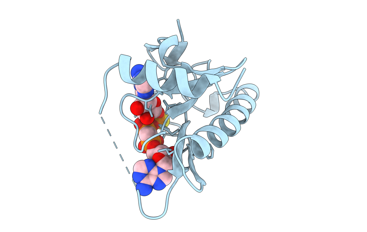 2FHI image